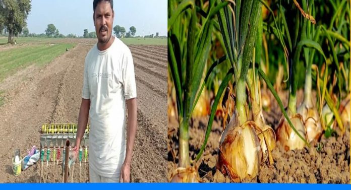 Jugaad Machine reduced the cost of sowing onion seeds
