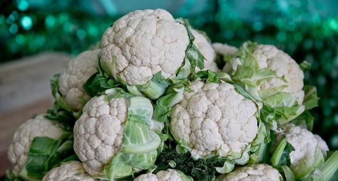 A Farmer has grown unique cabbage with 6 flowers