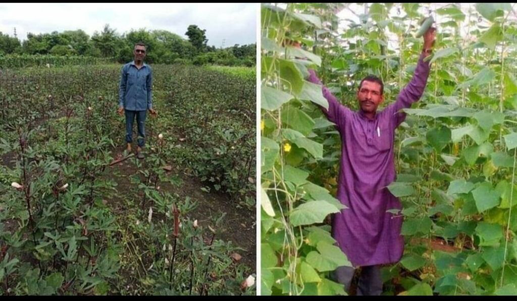 Bopal Farmer growing red Ladyfinger black wheat blue potato