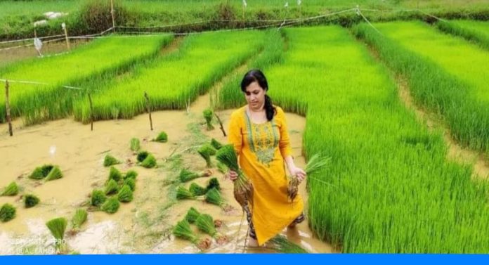 This Lady farmer earns 30 lakh per year through this technique of farming