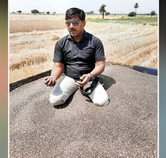 Black wheat farming by Vinod Chauhan