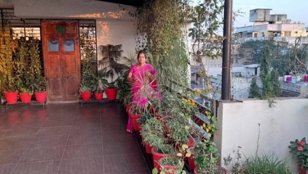 65 years old Chetna Bhati doing Terrace gardening and growing vegetables fruits