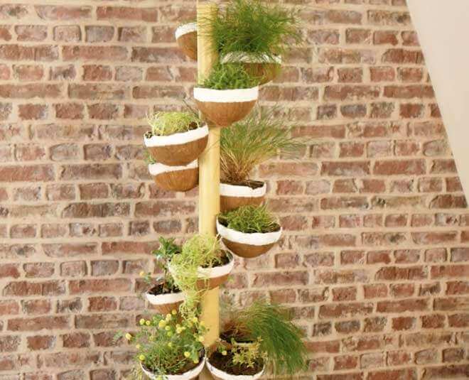 How to make plant holder with the help of home wastes