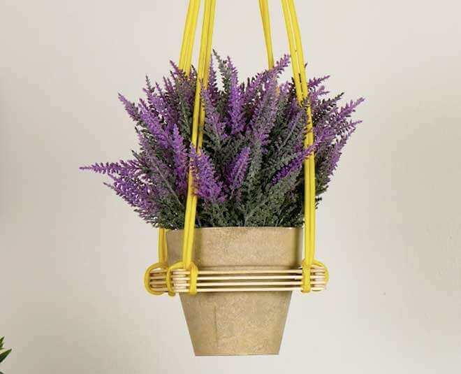 How to make plant holder with the help of home wastes