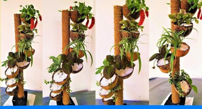 How to make plant holder with the help of home wastes