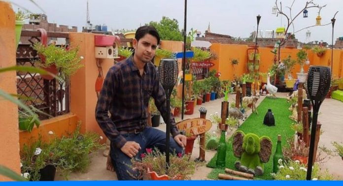 Sandeep planted more than 300 plants on his terrace and made a play garden