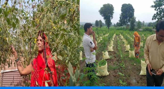 Jawahar model farming boost productivity and income