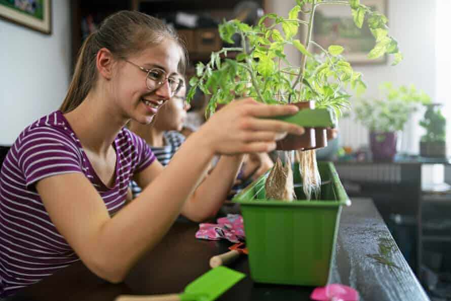 Why hydroponic farming is perfect option for small places