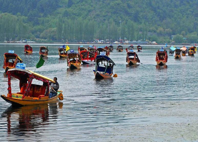 Tourist Place Dal Lake Kashmir