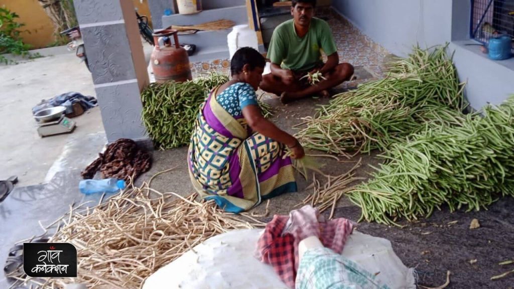 Andhra Pradesh woman farming multi crops earned much