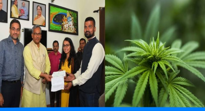 Uttarakhand woman Namrata kandwal farming cannabis and giving employments
