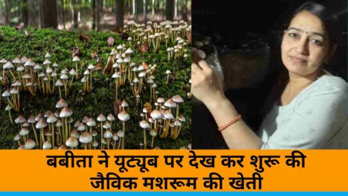 Babita Started Organic Mushroom Farming