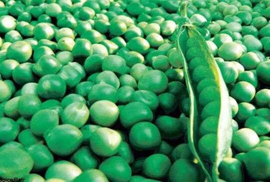 Frozen green peas business idea from home