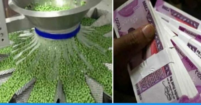 Frozen green peas business idea from home