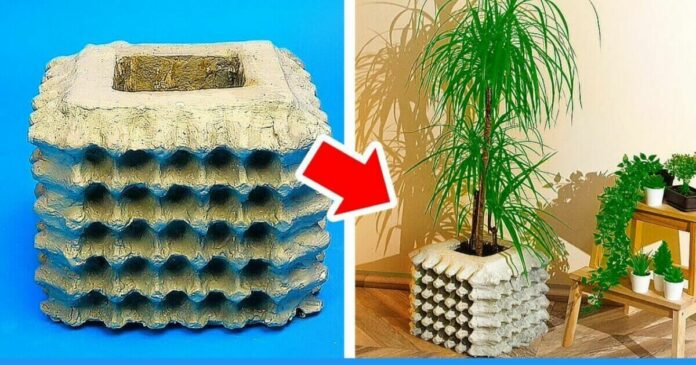 Make Pots from egg trays