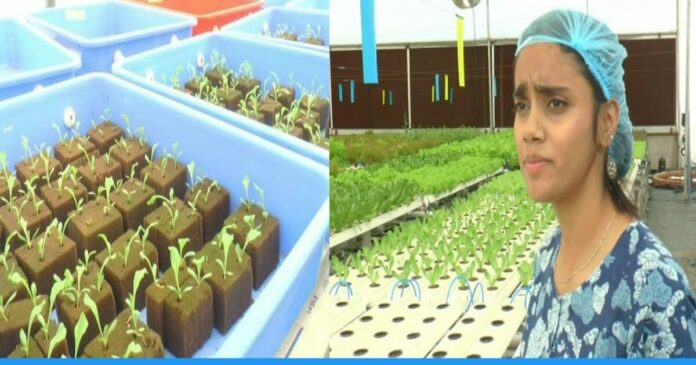Purvi Mishra quited her foreign job and started hydroponic farming