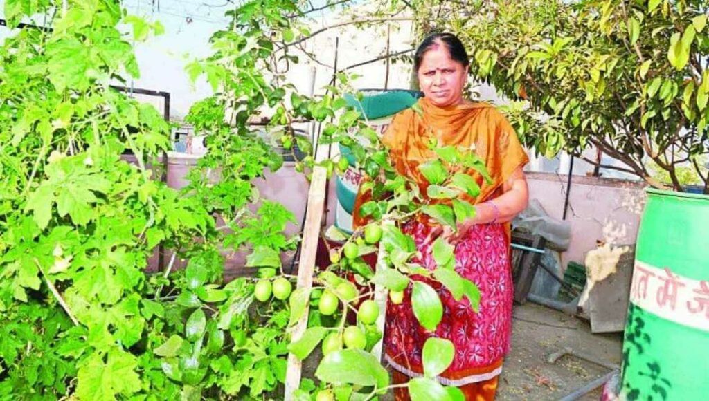 Pushpa sahu terrace faming known as Hariyali Didi