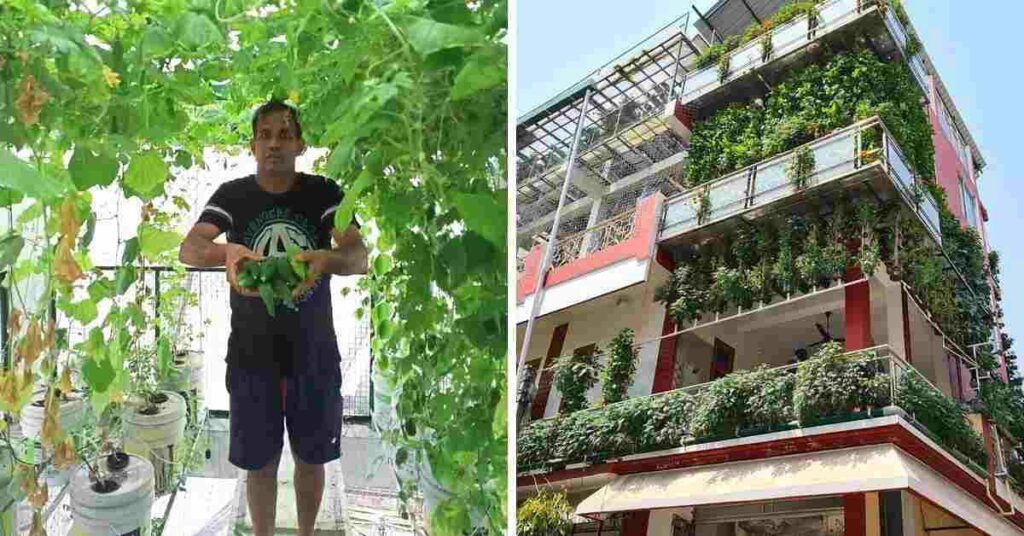 Ramvir Singh Hydroponic Farming