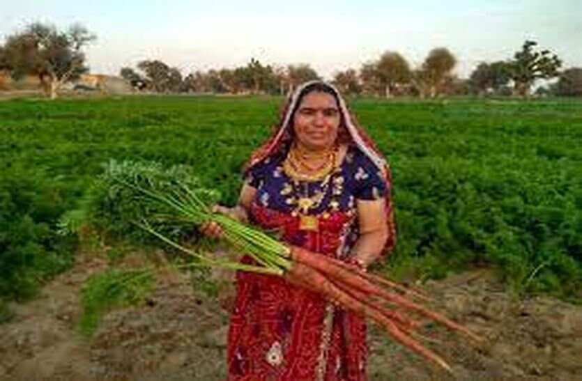 Santosh Pachar doing organic Cultivation and won two times President award