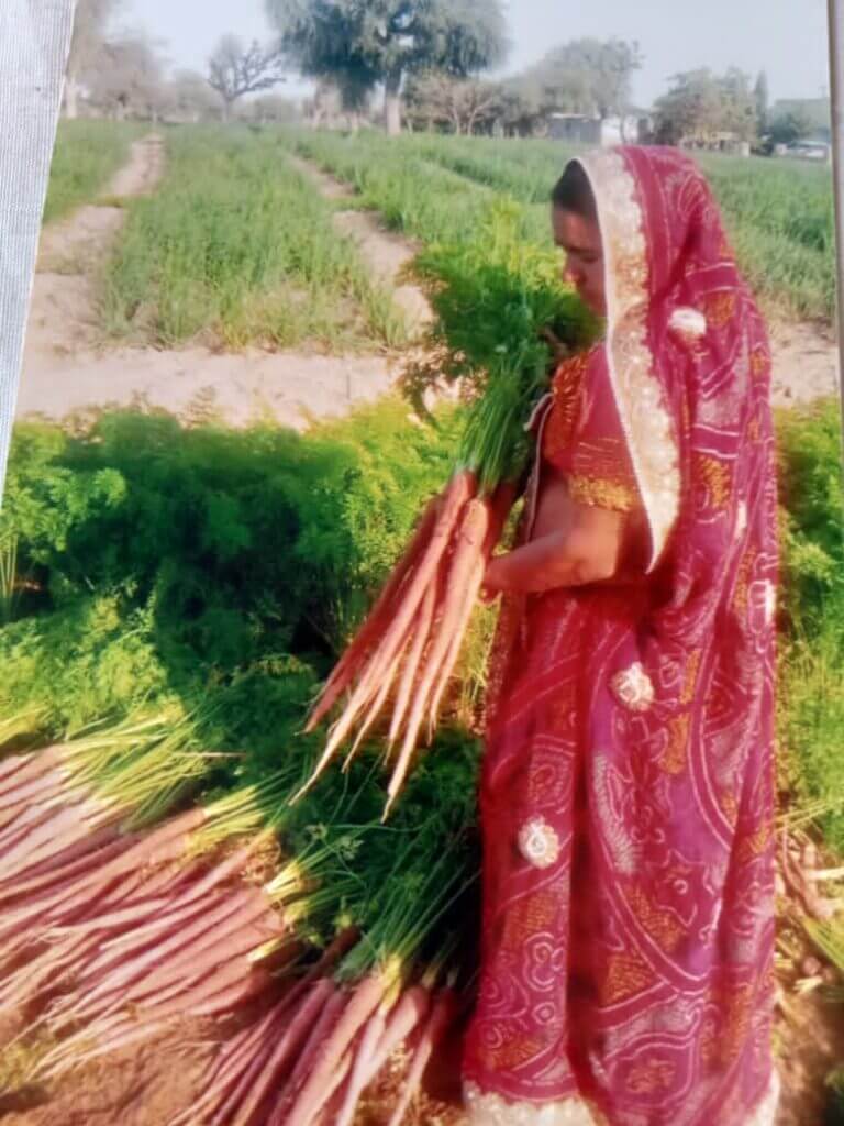 Santosh Pachar doing organic Cultivation and won two times President award