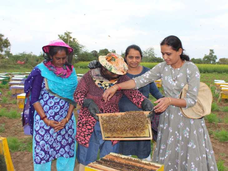 Tanvi ben from gujrat earning lakh by beekeeping