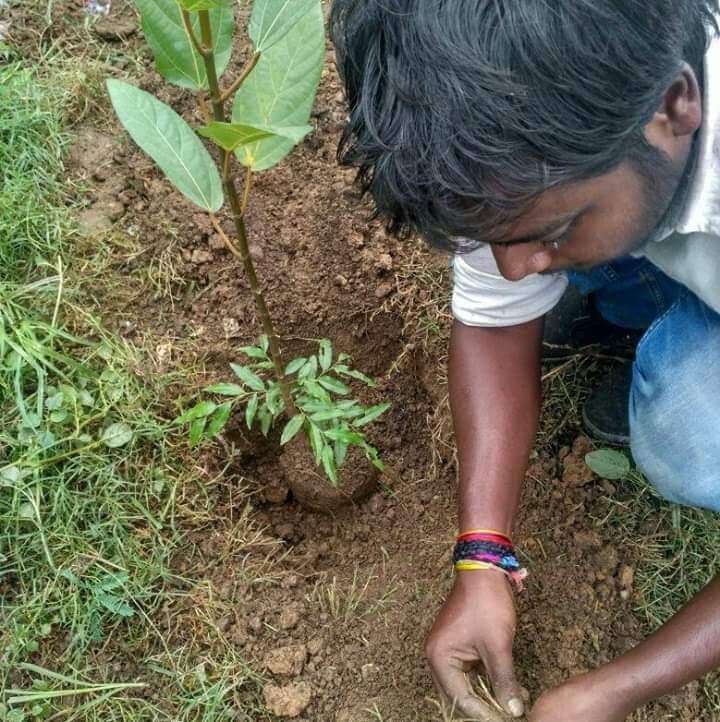 Vivek srivastava quitted job and planted 10 thousand plants in delhi