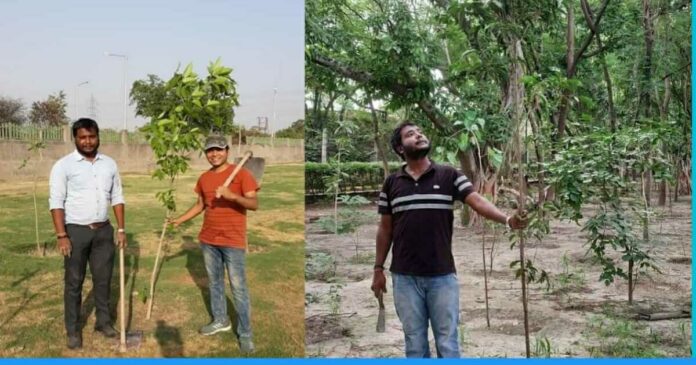 Vivek srivastava quitted job and planted 10 thousand plants in delhi