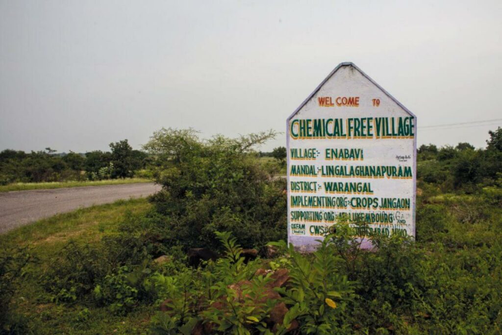 Telangana first chemical free organic village enabavi