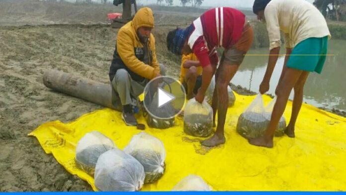 Uttarpradesh farmers earning lakh by fish farming