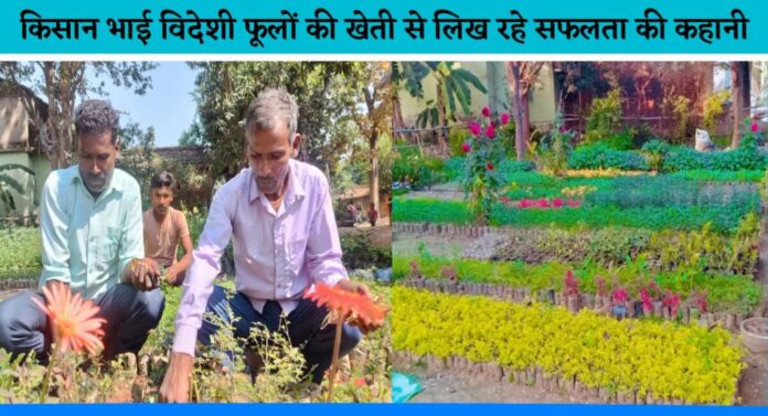 Two Farmer brothers setup a foreign flowers nursery