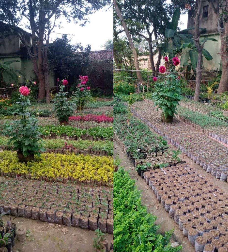 Two Farmer brothers setup a foreign flowers nursery