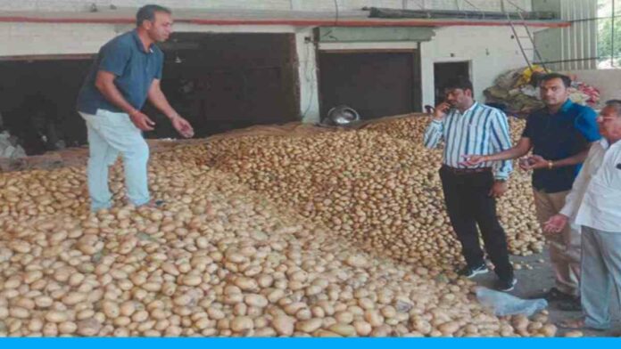 farming of potato