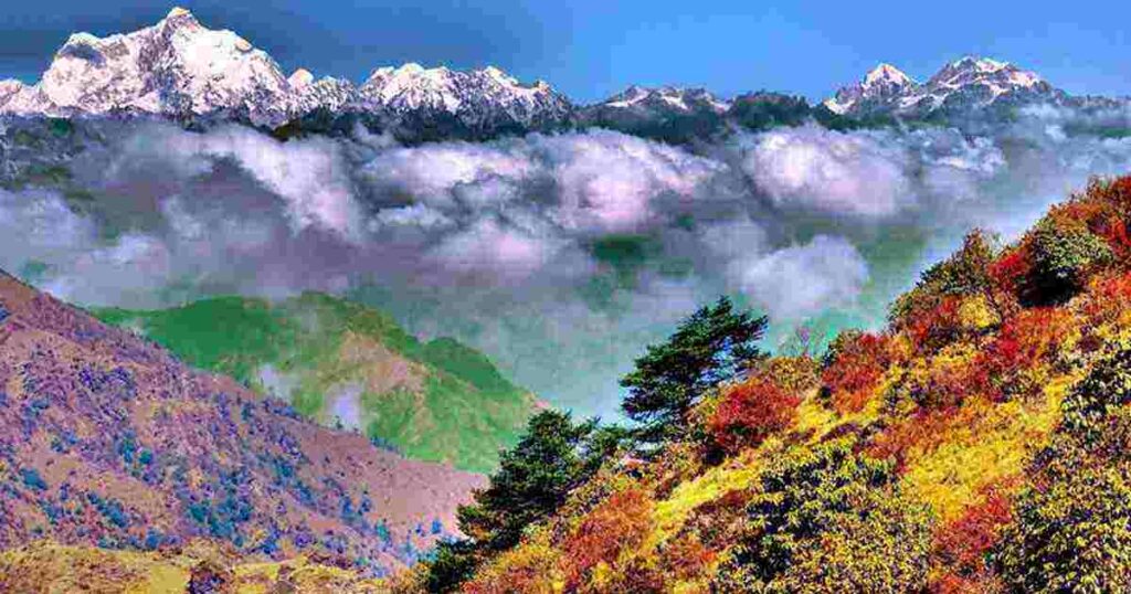 Singalila National Park Famous Places to Visit in Darjeeling