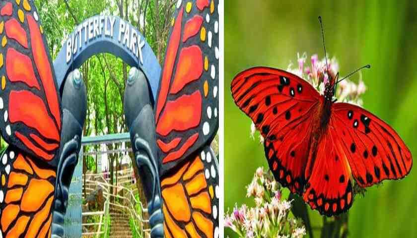 first Butterfly Park made in delhi