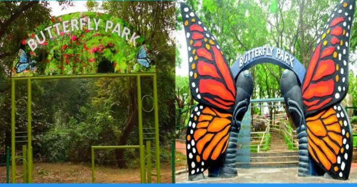 first Butterfly Park made in delhi