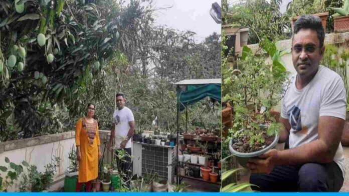 Dr. Couple Jigna And Rahul Shah Terrace Farming