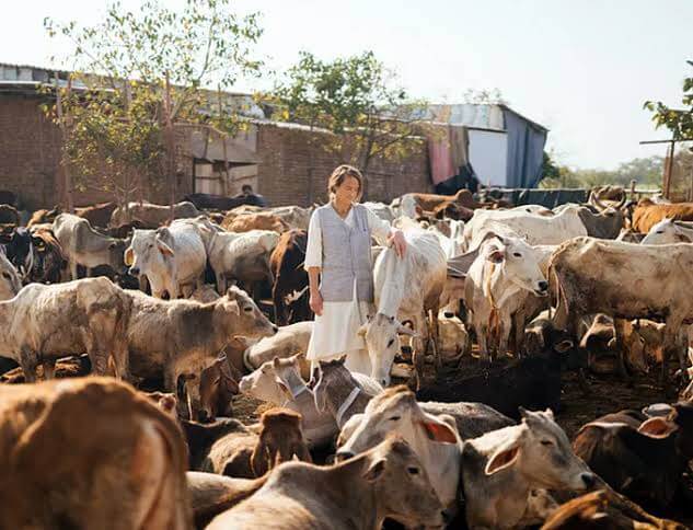 German lady friederike Irina serving 1200 cows in india since 40 years