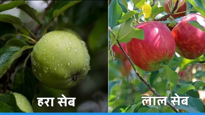 Know these amazing Benefits of green apple