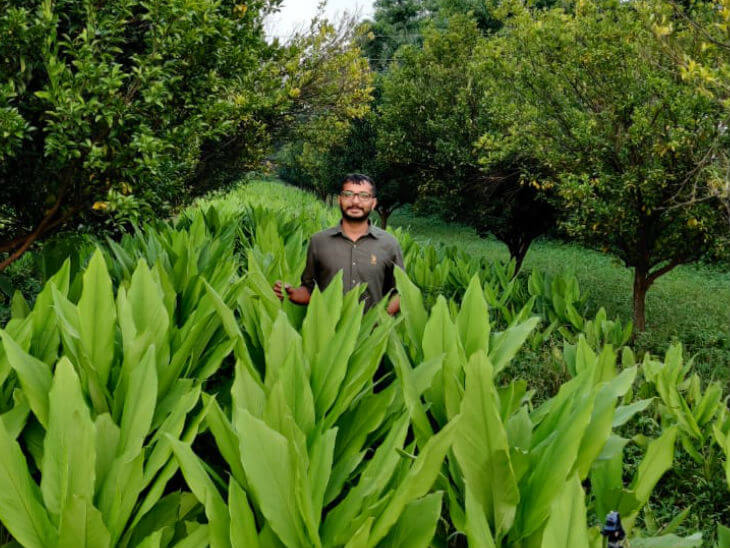 IITian Tathagat started organic farming