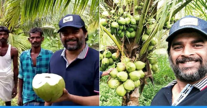 R Madhwan doing coconut farming on barren land