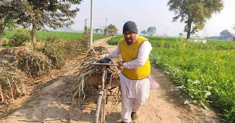 Punjab farmer Rajvinder Singh Dhaliwal left USA job and returned to India and started organic farming