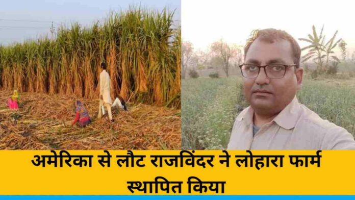 Punjab farmer Rajvinder Singh Dhaliwal left USA job and returned to India and started organic farming