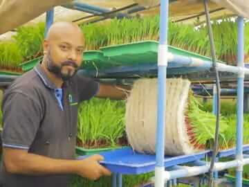 Vasant quited his job and started to grow fodder without land