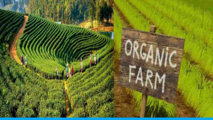World First Organic Farming State Sikkim