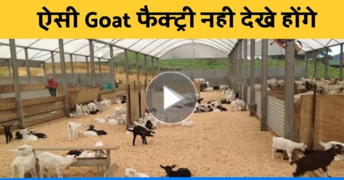 Yaduvanshi goat factory haryana earning in crore