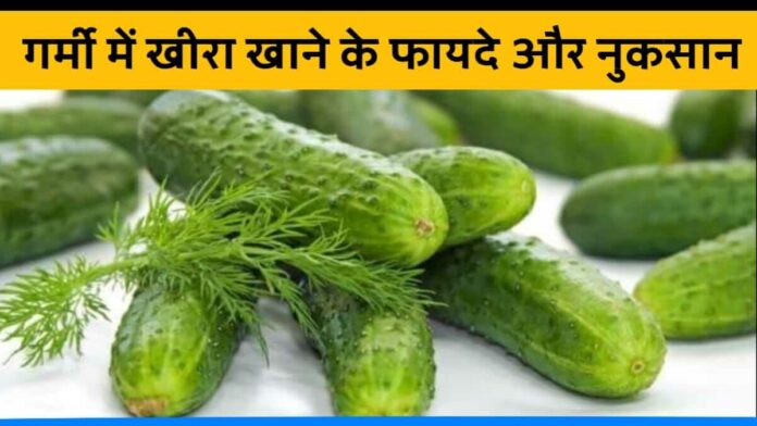 Benefit and harmful effects of cucumber in summer days