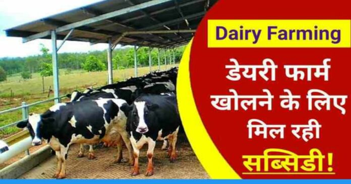 Get 25 percent subsidy on dairy farm loan, know the process to apply