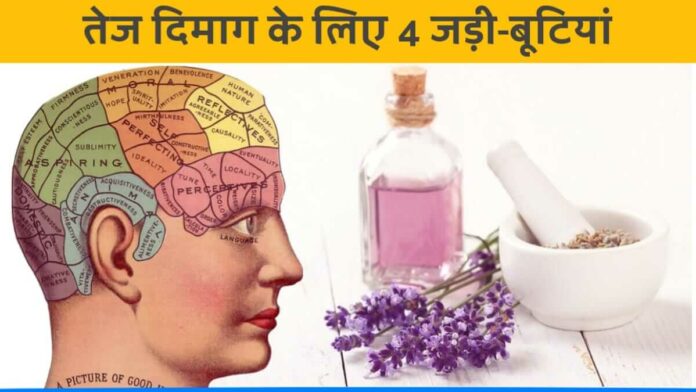 Use of 5 herbals to sharpen brain