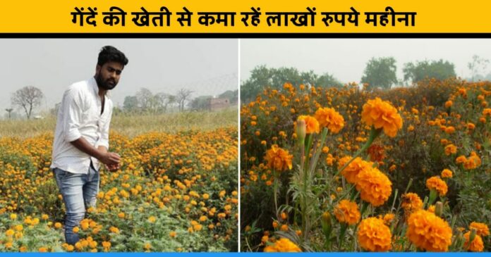 Deepak started marigold farming and earning 1.15 lakh per month