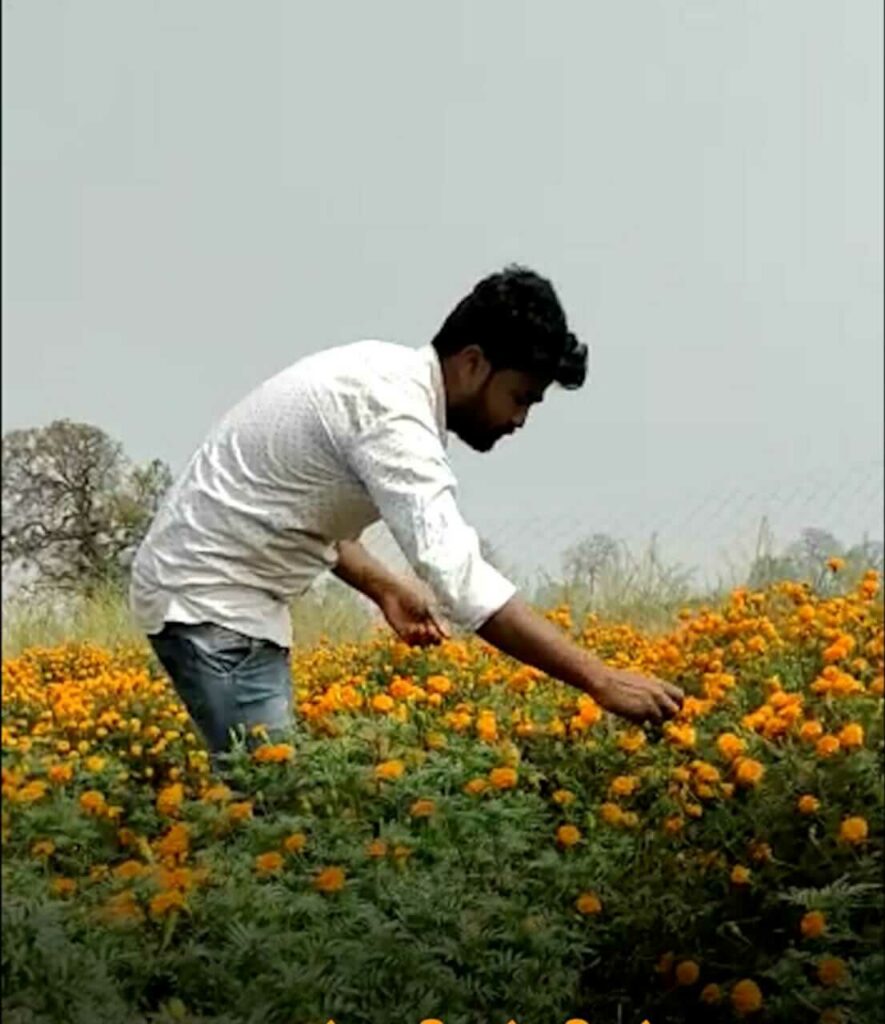 Deepak started marigold farming 